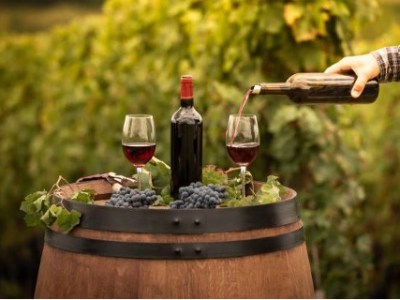 A look inside wine&nbsp;sustainability